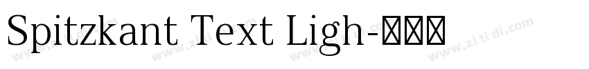 Spitzkant Text Ligh字体转换